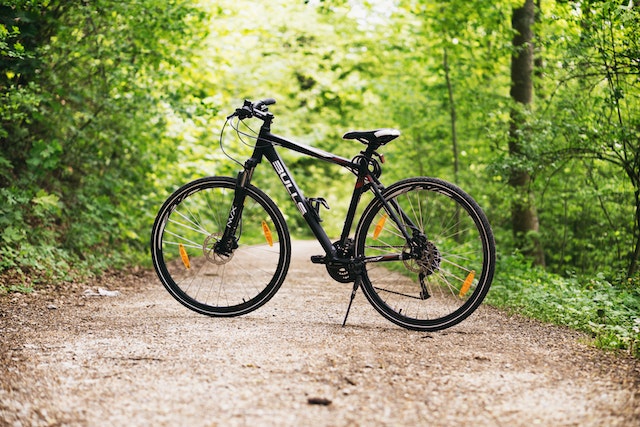a bicycle on a dirt road surrounded by greenery