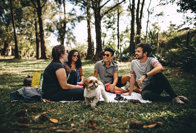 four people having a picnic in a park with a small dog